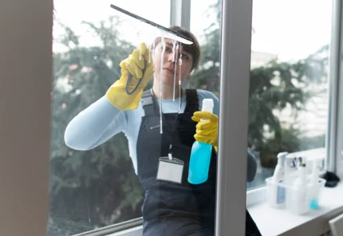 Nettoyage de vitres intérieures et extérieures à Châbons